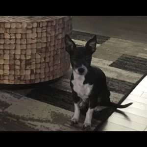 Meet your Posher, Melissa